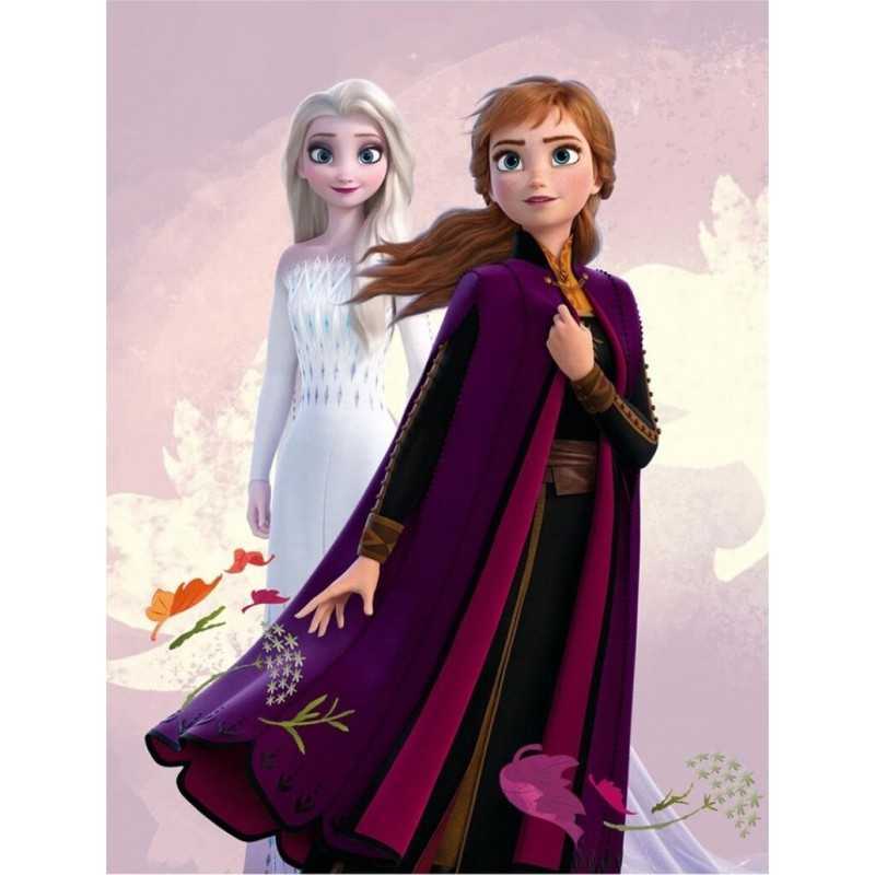 Blanket Frozen 2 Disney