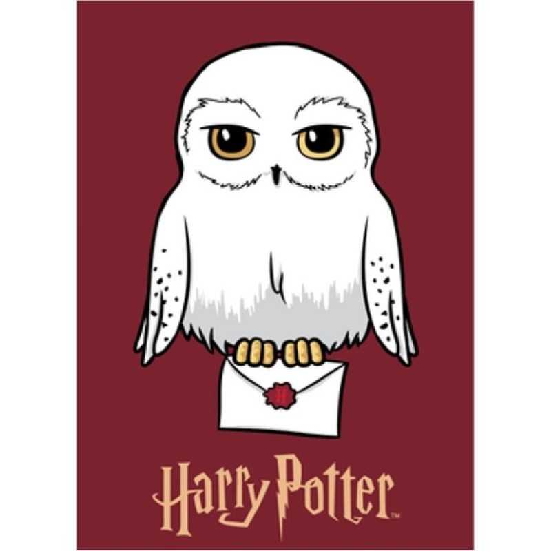 Manta de lana Harry Potter - Mister License.com